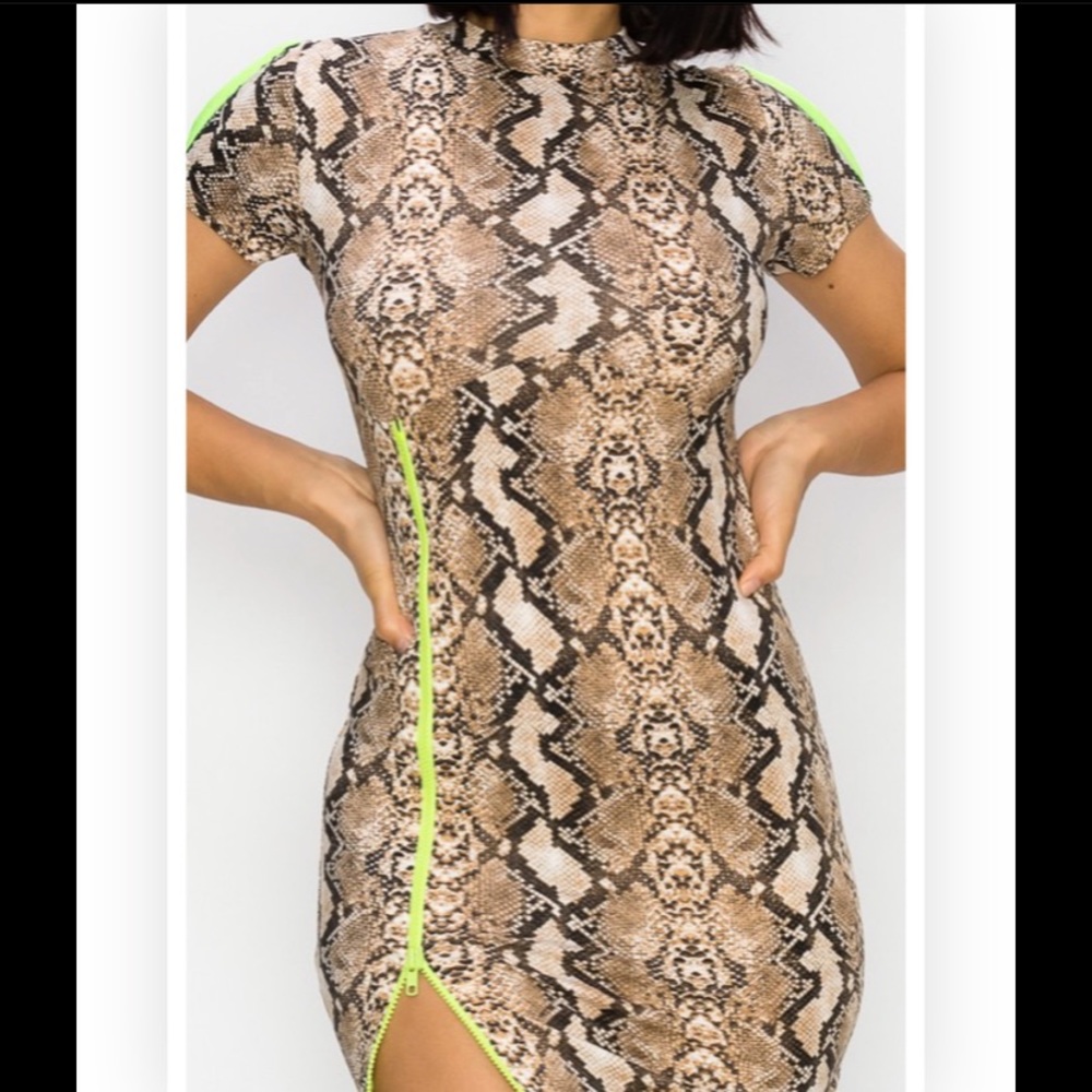Neon Accent Snake Print Mini Dress